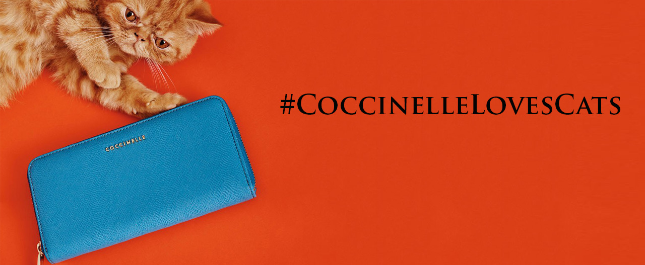 Coccinelle