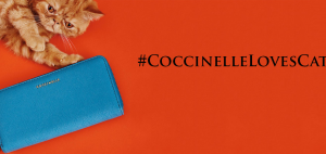 Coccinelle