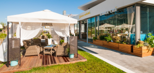 Scandal Lounge Cafe with renovated summer garden